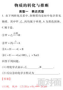 云南省2019中考化学面对面题库 物质的转化与推断定（pdf）