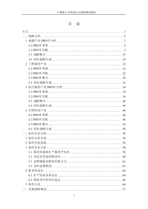 集团公司战略规划报告