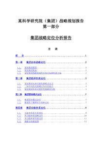 集团战略定位分析报告