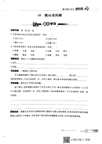 四年级语文上册 第三单元 第十课《爬山虎的脚》试题（pdf，无答案） 新人教版