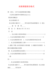 实践调查报告格式