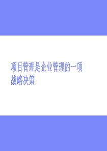 项目管理是企业管理的一项战略决策（PPT 24页）