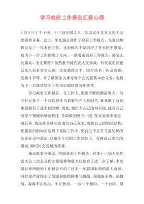 学习政府工作报告汇报心得