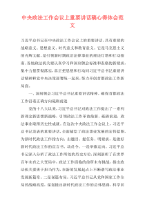 中央政法工作会议上重要讲话稿心得体会范文