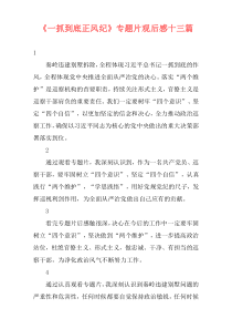 《一抓到底正风纪》专题片观后感十三篇