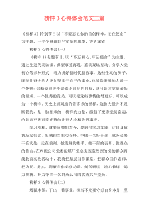 榜样3心得体会范文三篇