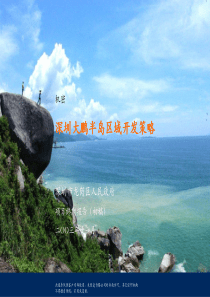 麦肯锡-深圳大鹏半岛区域开发策略