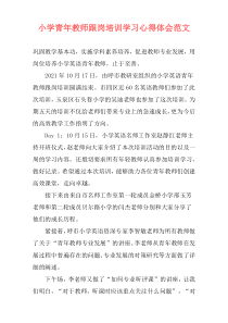 小学青年教师跟岗培训学习心得体会范文