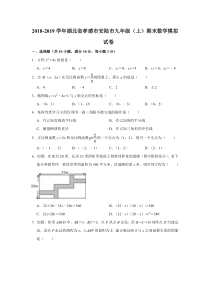 湖北省孝感市安陆市2018-2019学年九年级数学上学期期末模拟试卷（pdf）