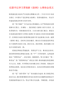 纪委书记学习贯彻新《条例》心得体会范文