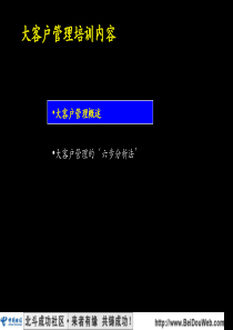 麦肯锡中国电信大客户培训战略报告
