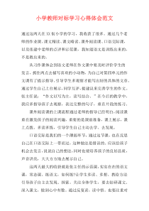 小学教师对标学习心得体会范文