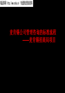 麦肯锡为招商集团做的战略咨询报告(2)