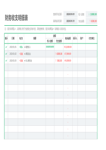 财务收入支出明细表