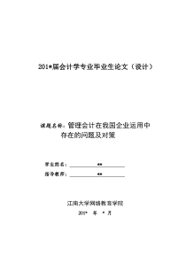 管理会计在我国企业应用中存在的问题及对策