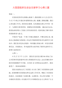 大型团组织生活会支部学习心得三篇