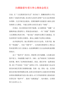 扫黑除恶专项斗争心得体会范文