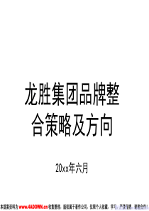 龙胜集团品牌整合策略及方向