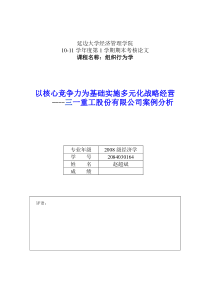 (2084030164)赵超斌(08经济学专业)《以核心竞争力为基础实施多元化