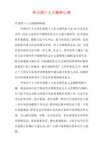 学习团十八大精神心得