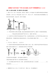 安徽省六安市毛坦厂中学2020届高三化学下学期假期作业（2.24）