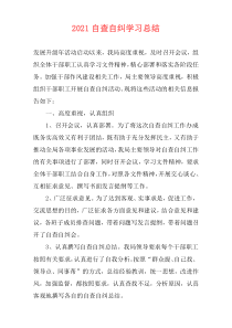 2021自查自纠学习总结