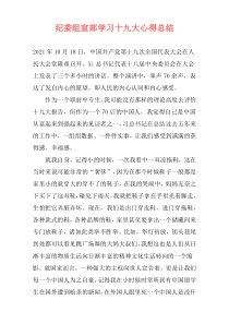 纪委组宣部学习十九大心得总结