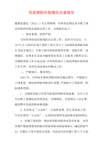 发放津贴补贴情况自查报告