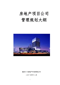 房地产项目公司管理规划大纲