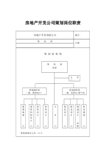 房地产开发公司策划岗位职责