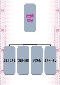 517下午马林芳助理社工培训(后五章)