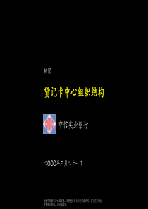 048麦肯锡—中信实业银行贷记卡中心组织架构建设方案