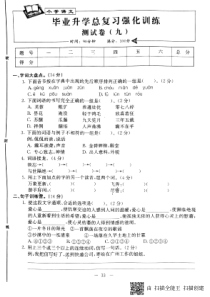 （通用版）六年级语文下学期毕业升学总复习强化训练测试卷九（小升初）（pdf，无答案）