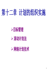 12第十二章管理学计划的实施