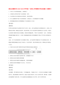 湖北省襄阳市2018-2019学年高一生物上学期期末考试试题（含解析）