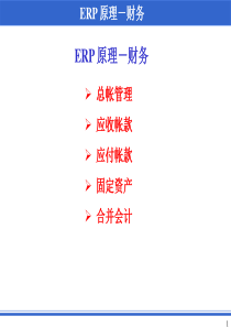 ERP原理-财务