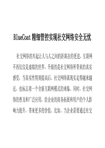 BlueCoat精细管控实现社交网络安全无忧