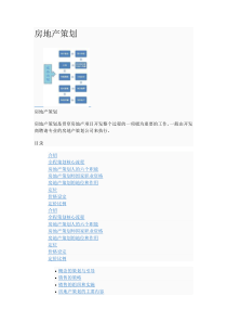 房地产策划