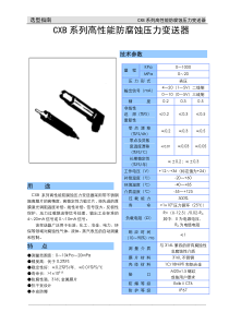 CYB系列高性能防腐防爆压力变送器