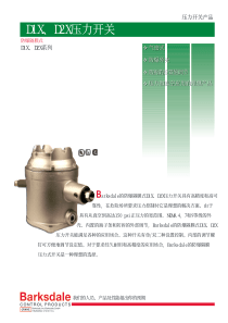 D1X、D2X压力开关