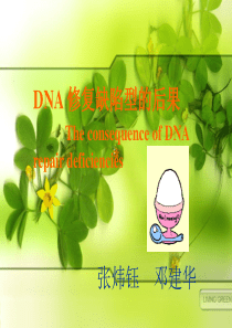 DNA修复缺陷型的后果Theconsequenceo