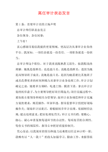 离任审计表态发言