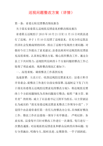 巡视问题整改方案（详情）