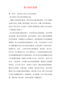 党小组长总结