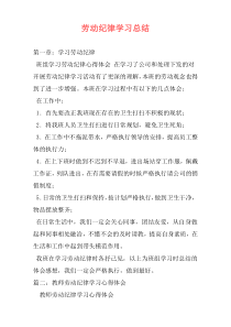 劳动纪律学习总结