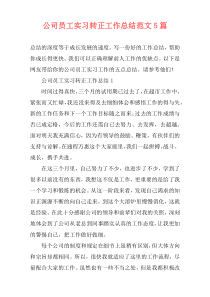 公司员工实习转正工作总结范文5篇