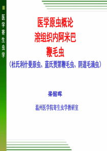 2医学原生动物概论,溶组织内阿米巴,鞭毛虫