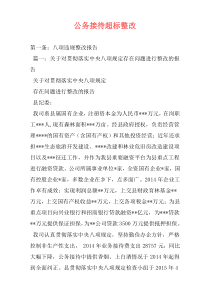 公务接待超标整改