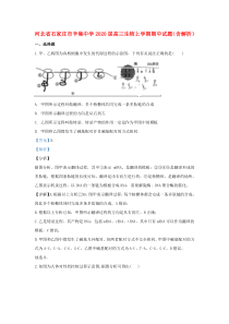 河北省石家庄市辛集中学2020届高三生物上学期期中试题（含解析）