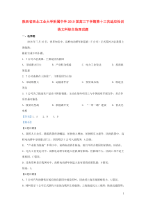 陕西省西北工业大学附属中学2019届高三地理下学期第十三次适应性训练试题（含解析）